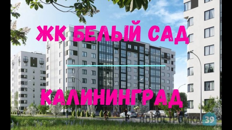 Калининград аренда машин отзывы