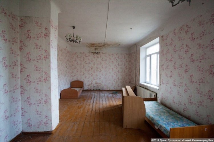 Калининград купить 1 комнатную квартиру в центральном районе